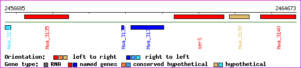 gene map