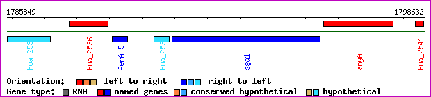 gene map