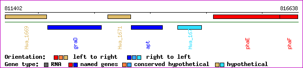 gene map