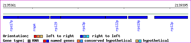 gene map