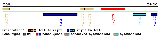 gene map