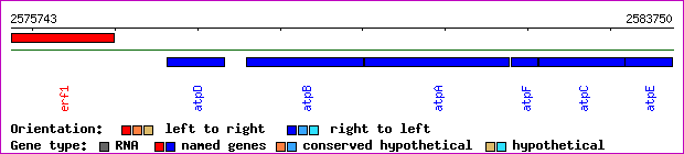 gene map