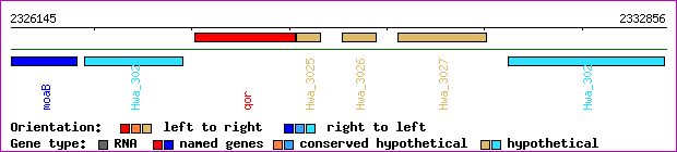 gene map