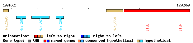 gene map