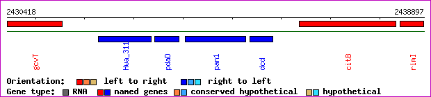gene map