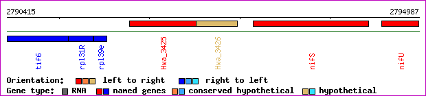 gene map