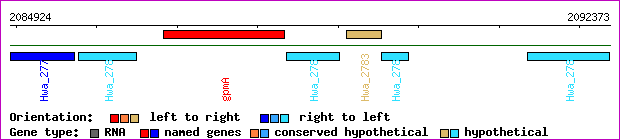 gene map