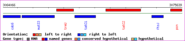 gene map