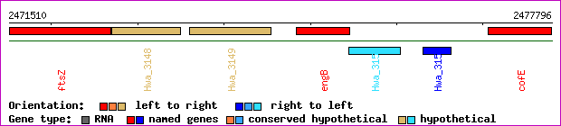 gene map