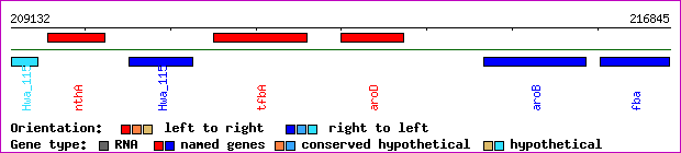 gene map