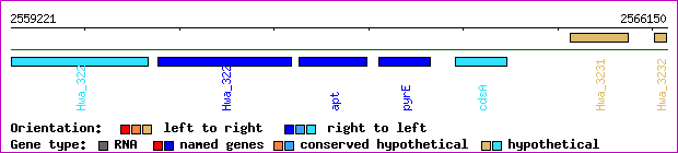 gene map
