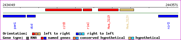 gene map