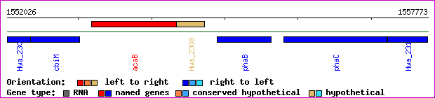 gene map