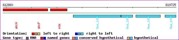 gene map