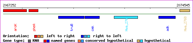 gene map