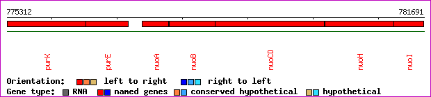 gene map