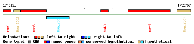 gene map