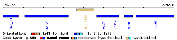 gene map