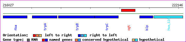 gene map