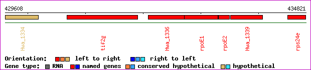 gene map