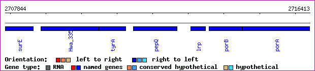 gene map