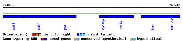 gene map