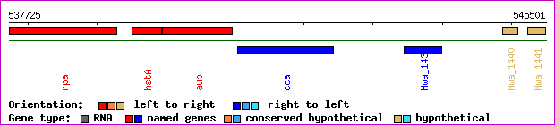 gene map