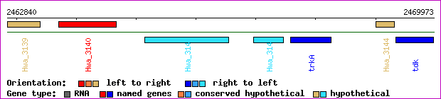 gene map