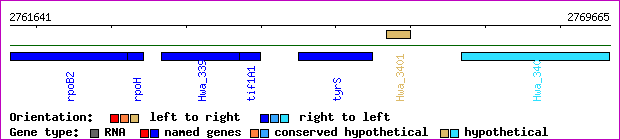 gene map