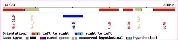 gene map