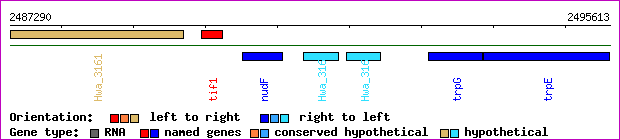 gene map