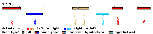 gene map