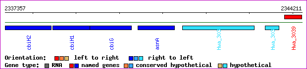 gene map