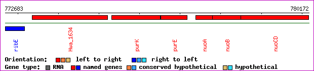 gene map