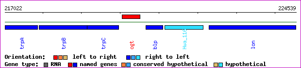 gene map