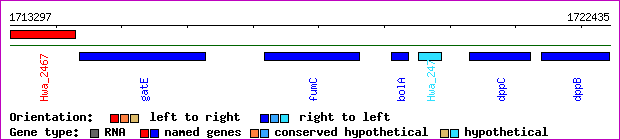 gene map