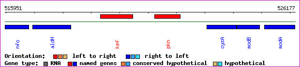 gene map