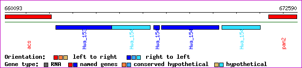 gene map