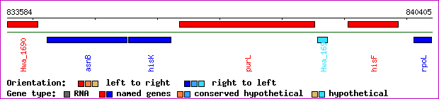 gene map