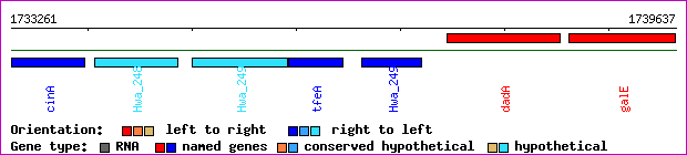 gene map