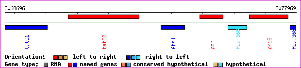 gene map