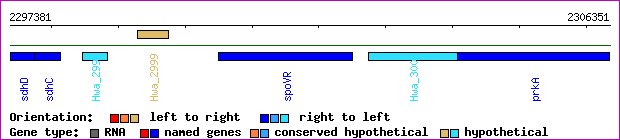 gene map