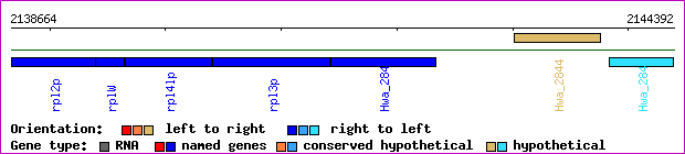 gene map