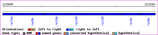 gene map