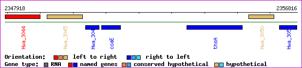 gene map
