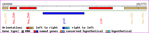gene map