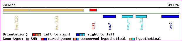 gene map