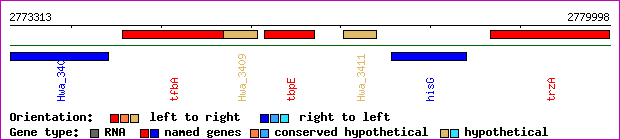 gene map