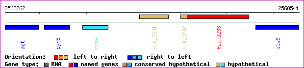 gene map