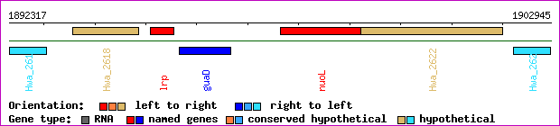 gene map